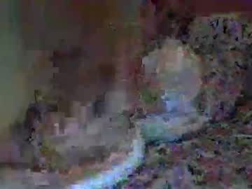 local cam girl comppp13 image #1336038